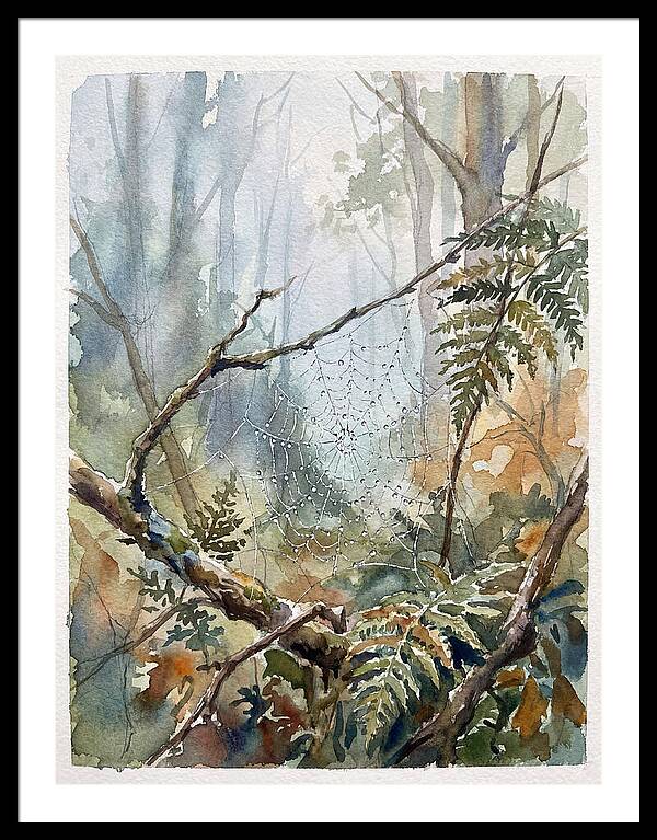 Delicate Web In The Forest