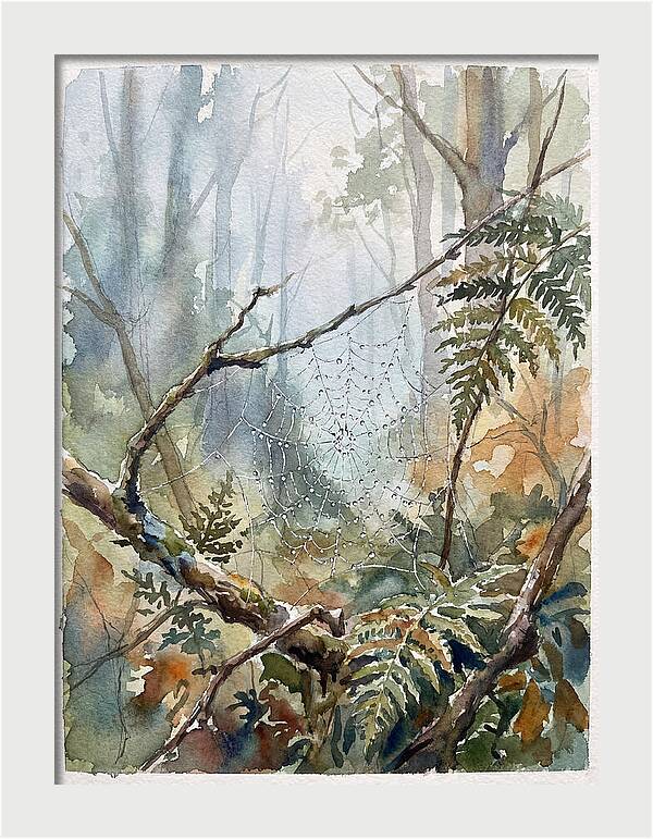 Delicate Web In The Forest