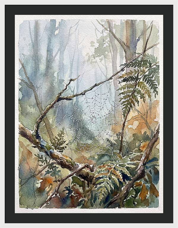 Delicate Web In The Forest