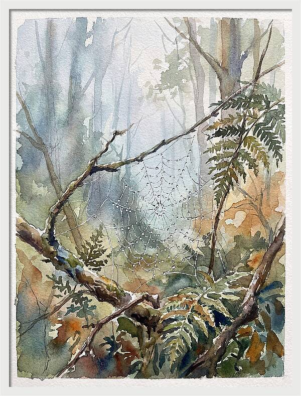Delicate Web In The Forest