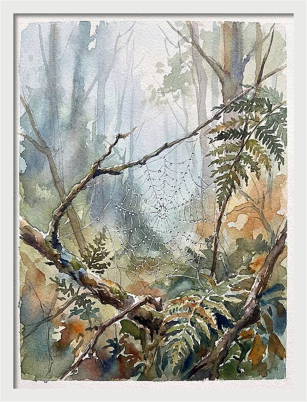 Delicate Web In The Forest