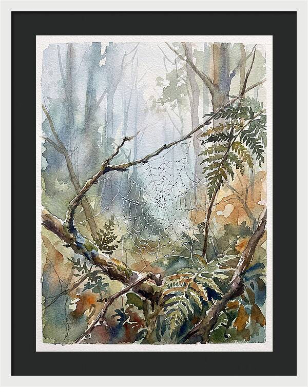 Delicate Web In The Forest