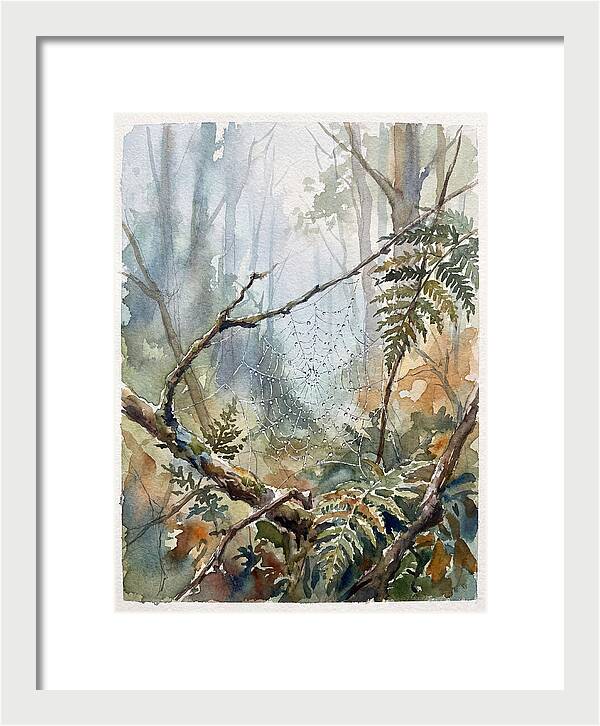 Delicate Web In The Forest