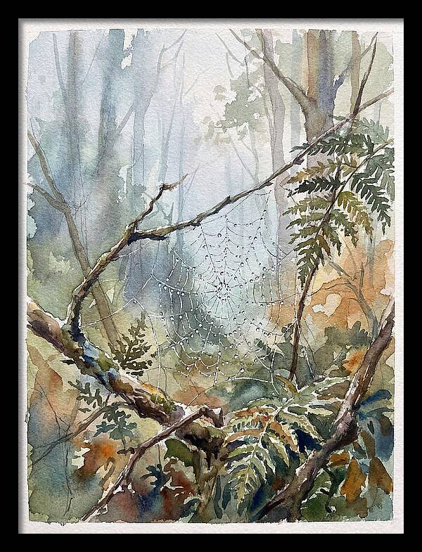Delicate Web In The Forest