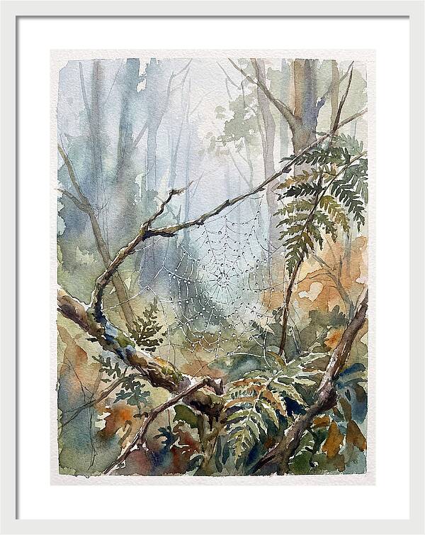 Delicate Web In The Forest