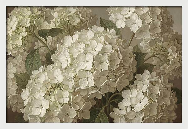 Delicate White Hydrangea Blooms