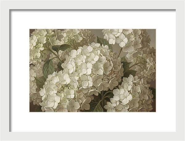 Delicate White Hydrangea Blooms