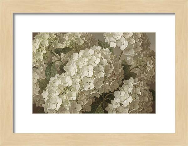 Delicate White Hydrangea Blooms