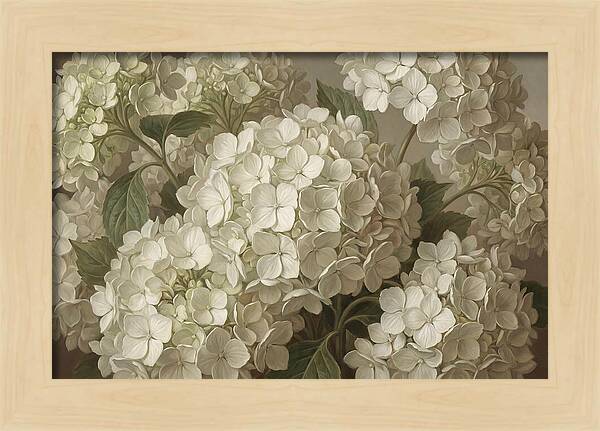 Delicate White Hydrangea Blooms
