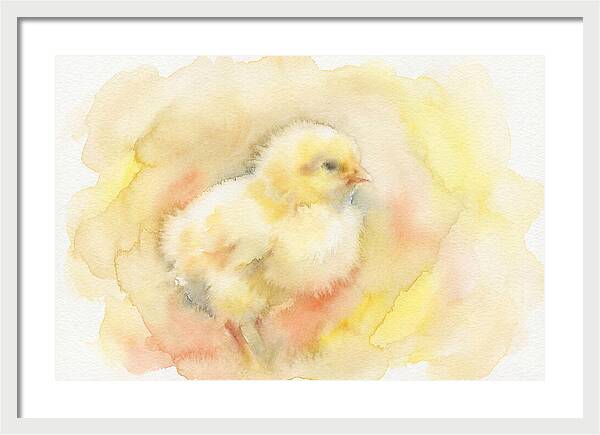 Delightful Little Yellow Chick