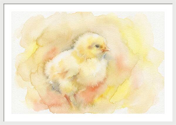 Delightful Little Yellow Chick