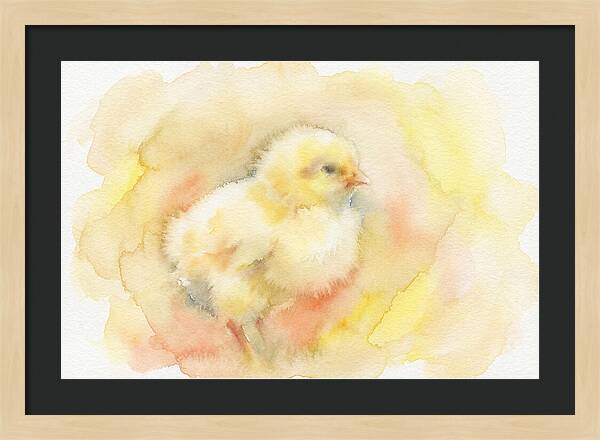 Delightful Little Yellow Chick