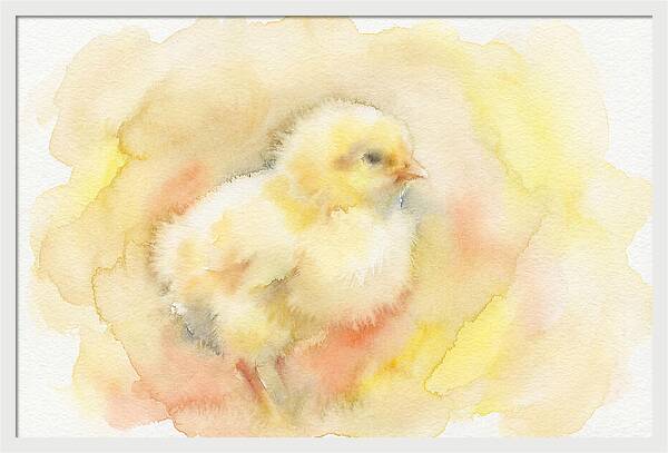 Delightful Little Yellow Chick