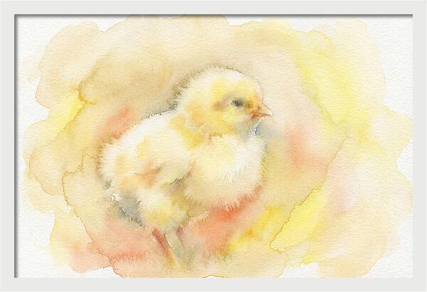 Delightful Little Yellow Chick