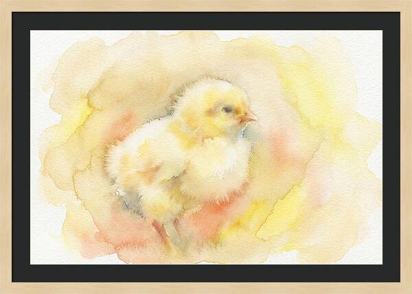 Delightful Little Yellow Chick