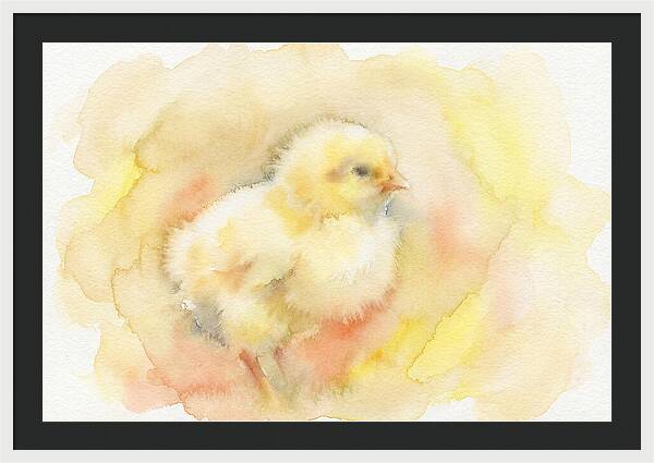 Delightful Little Yellow Chick