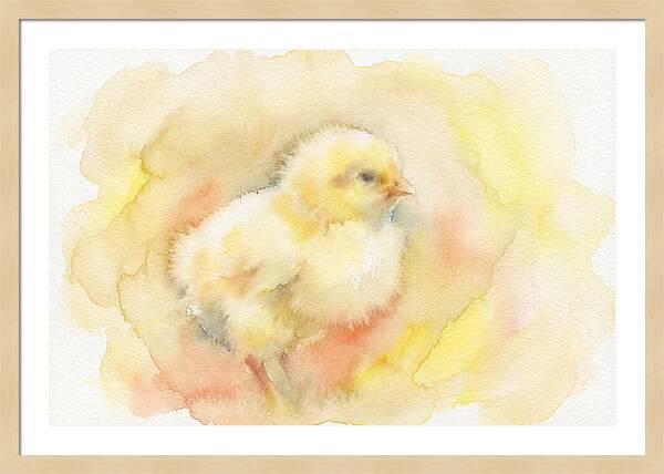 Delightful Little Yellow Chick