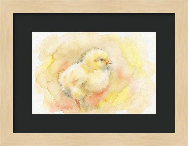 Delightful Little Yellow Chick