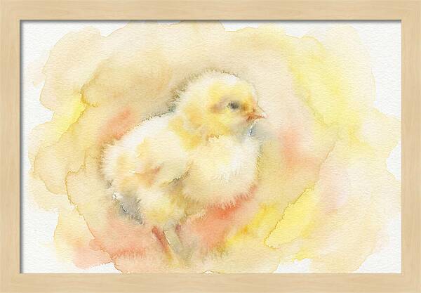 Delightful Little Yellow Chick