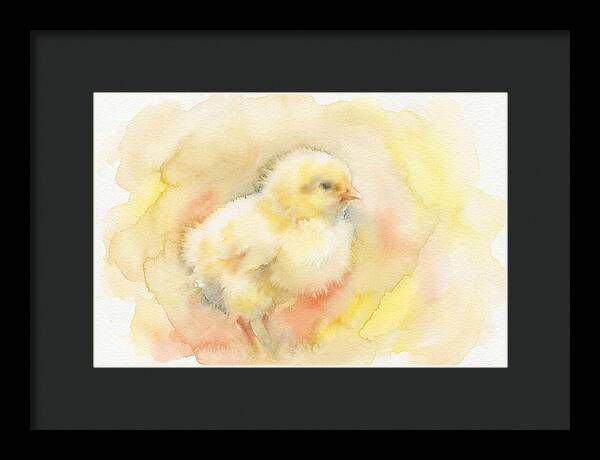 Delightful Little Yellow Chick