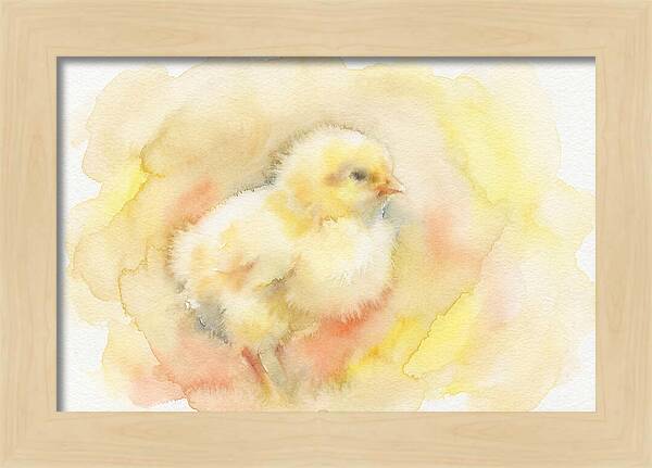 Delightful Little Yellow Chick