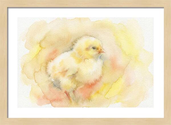 Delightful Little Yellow Chick