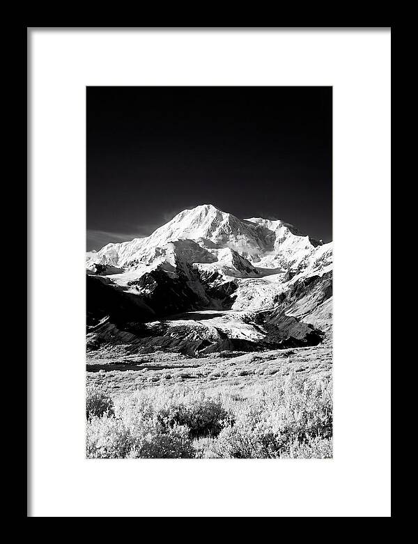 Denali Above The Tundra