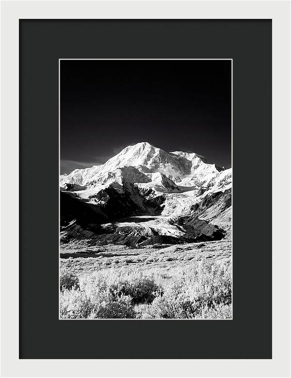 Denali Above The Tundra