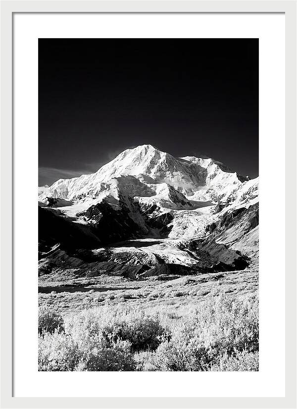 Denali Above The Tundra
