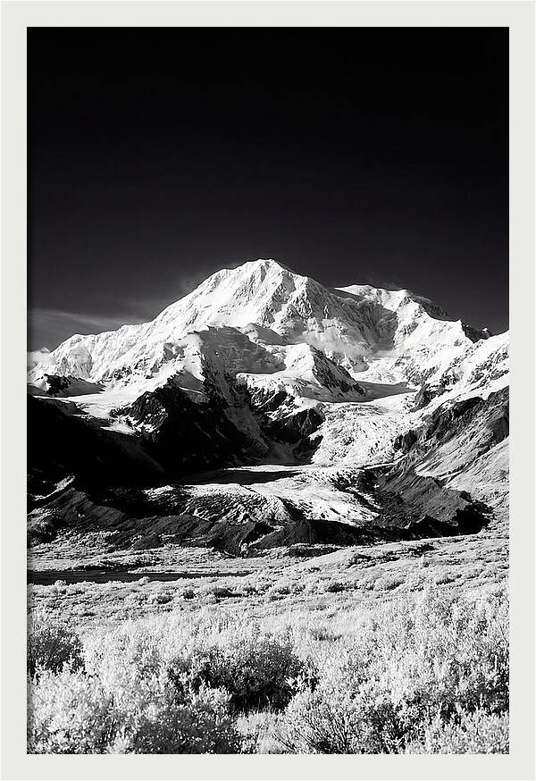 Denali Above The Tundra