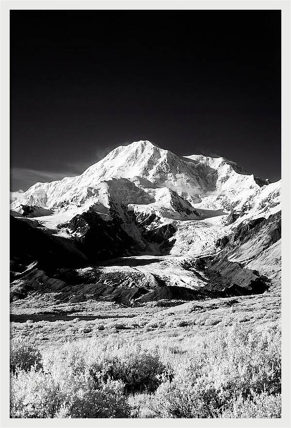 Denali Above The Tundra