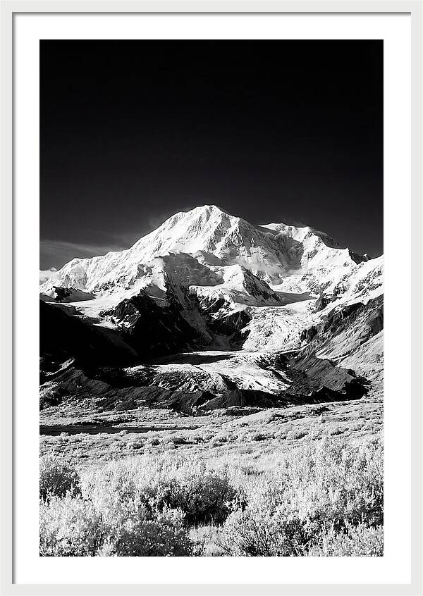 Denali Above The Tundra