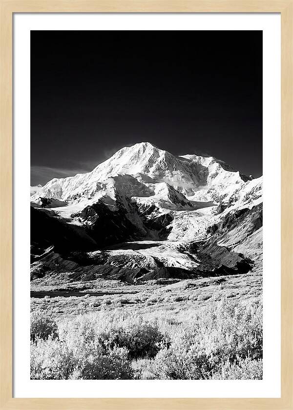 Denali Above The Tundra