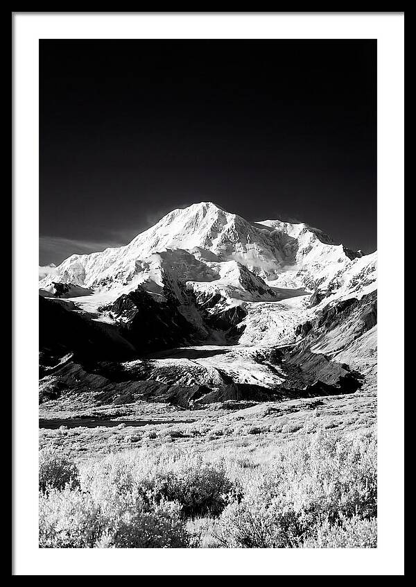 Denali Above The Tundra