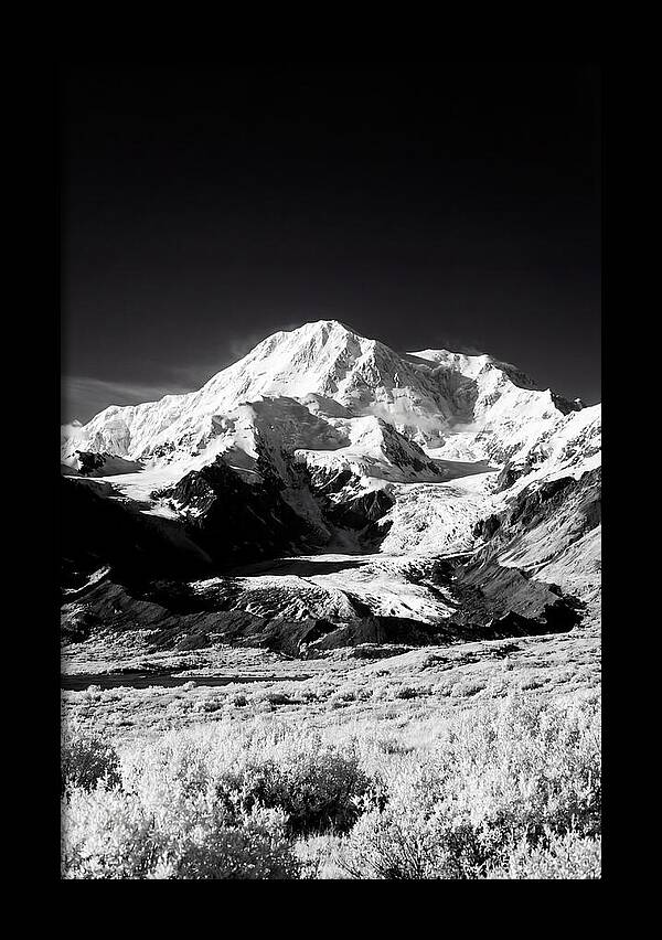 Denali Above The Tundra