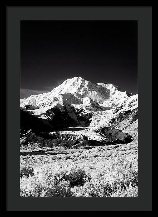 Denali Above The Tundra