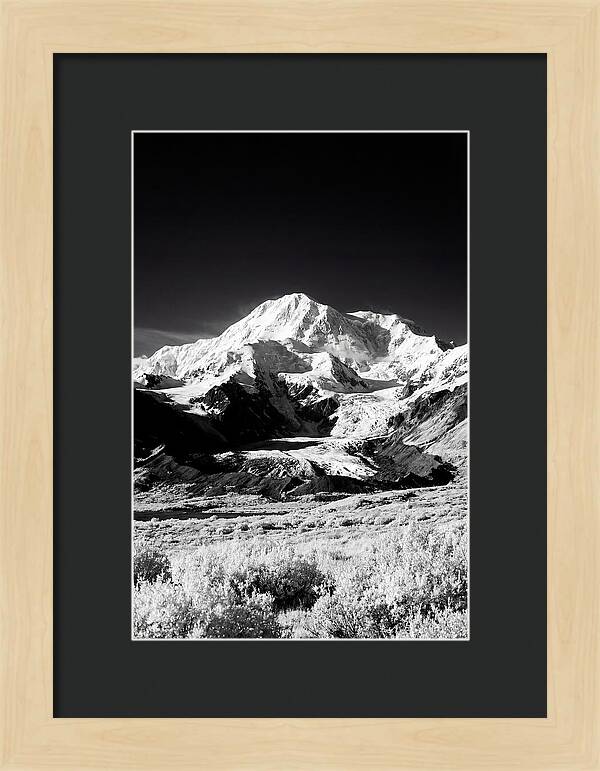 Denali Above The Tundra