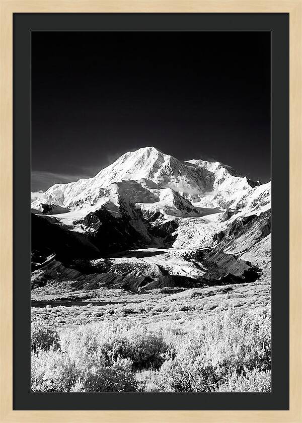 Denali Above The Tundra
