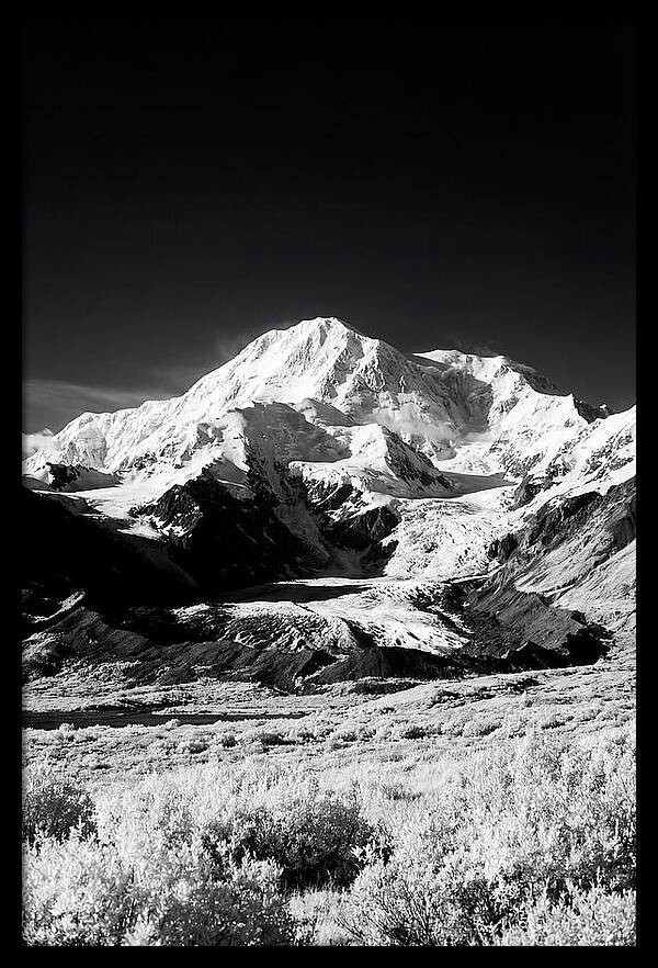 Denali Above The Tundra