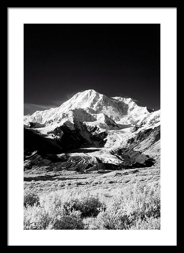 Denali Above The Tundra