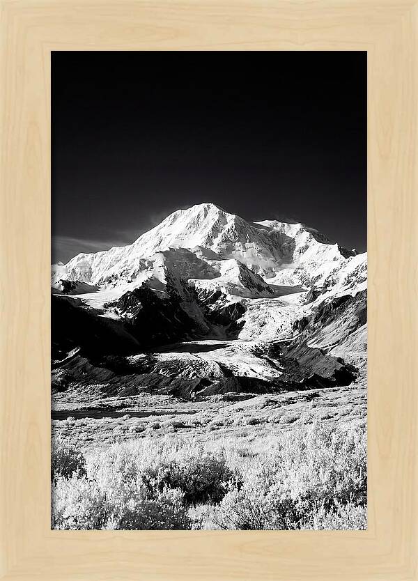 Denali Above The Tundra