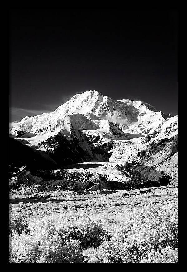 Denali Above The Tundra