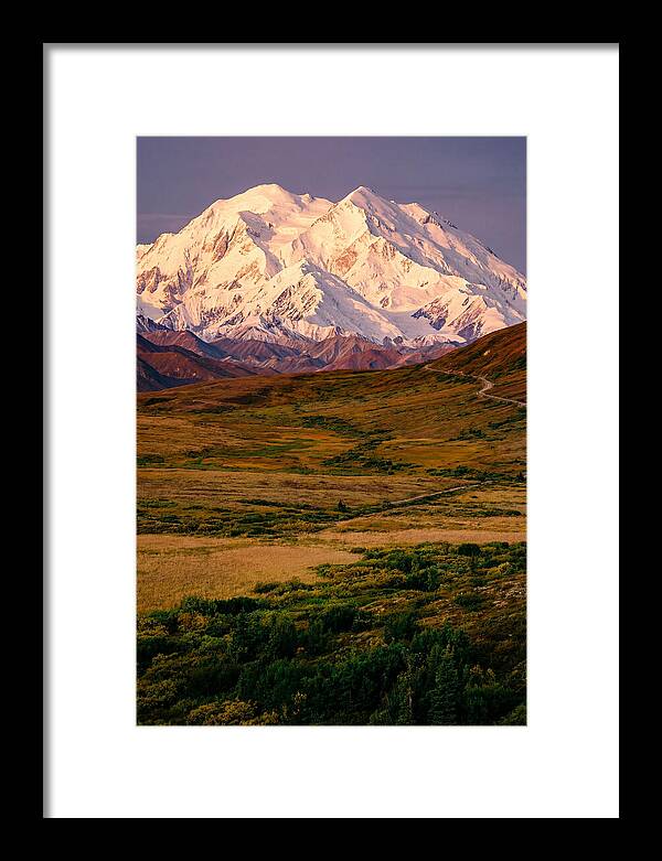 Denali At Golden Hour
