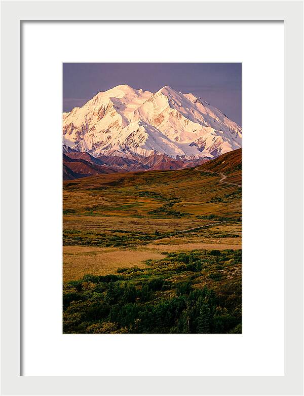 Denali At Golden Hour