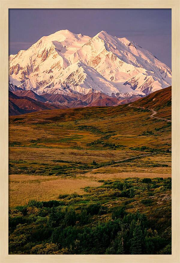 Denali At Golden Hour