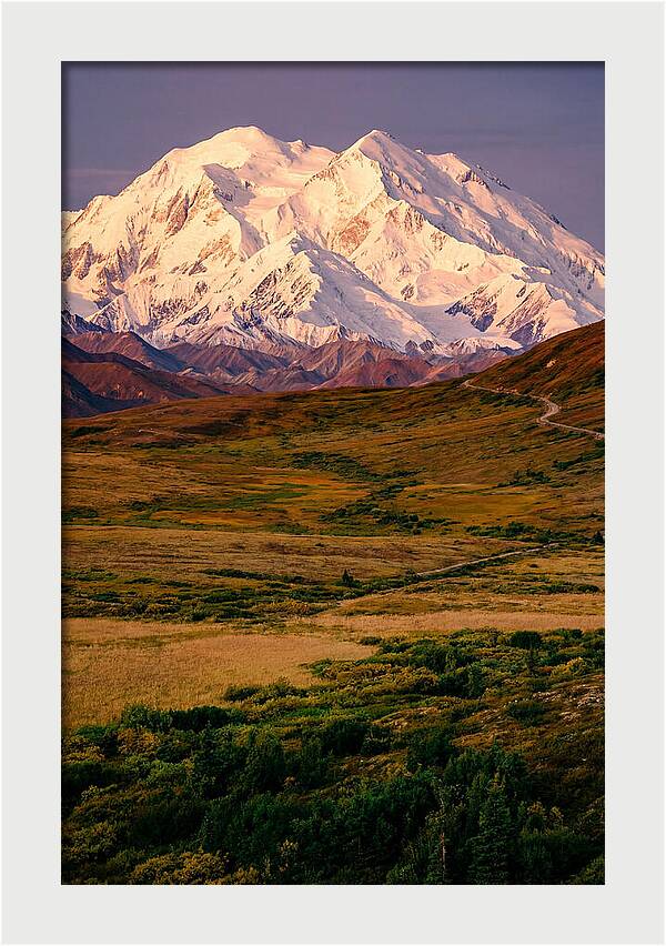 Denali At Golden Hour