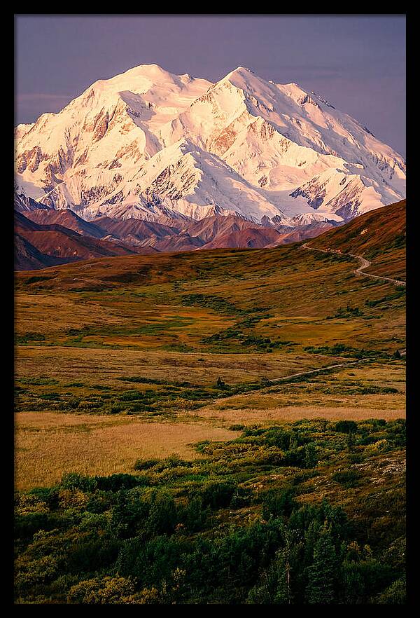 Denali At Golden Hour
