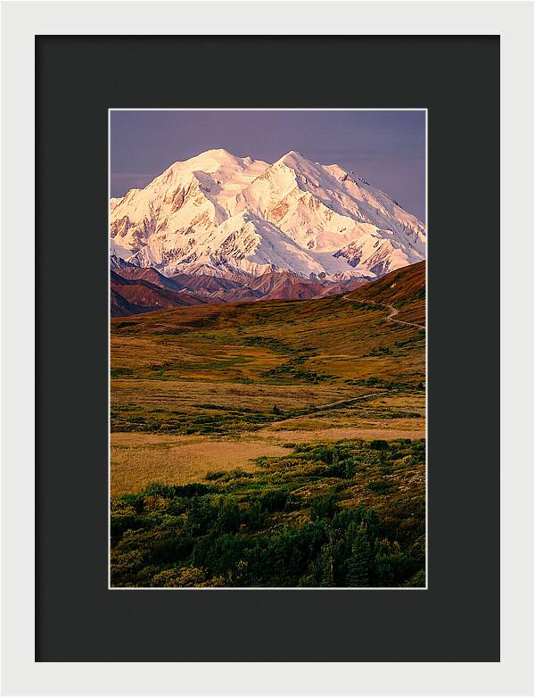 Denali At Golden Hour
