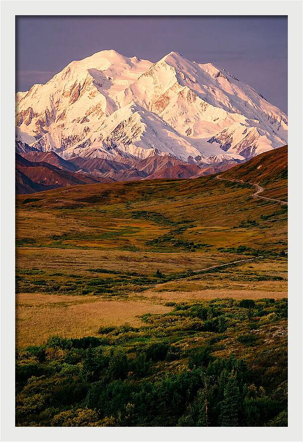 Denali At Golden Hour