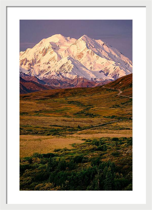 Denali At Golden Hour